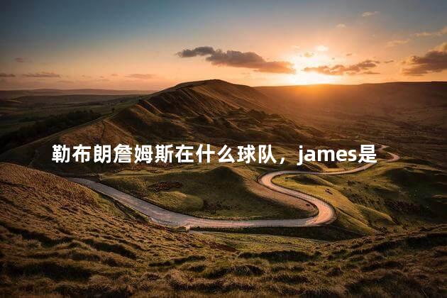 勒布朗詹姆斯在什么球队，james是哪个球队的  